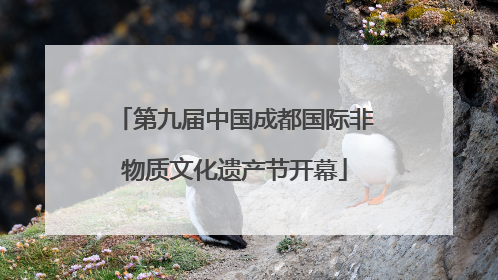 第九届中国成都国际非物质文化遗产节开幕