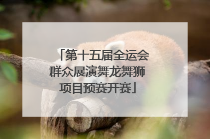 第十五届全运会群众展演舞龙舞狮项目预赛开赛