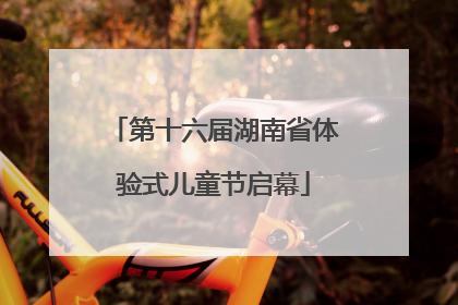 第十六届湖南省体验式儿童节启幕