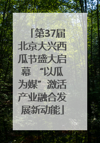 第37届北京大兴西瓜节盛大启幕 “以瓜为媒”激活产业融合发展新动能