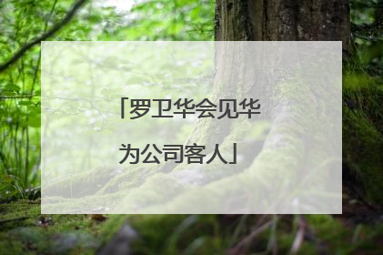 罗卫华会见华为公司客人