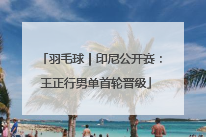 羽毛球｜印尼公开赛：王正行男单首轮晋级