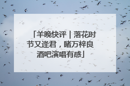 羊晚快评｜落花时节又逢君，睹万梓良酒吧演唱有感