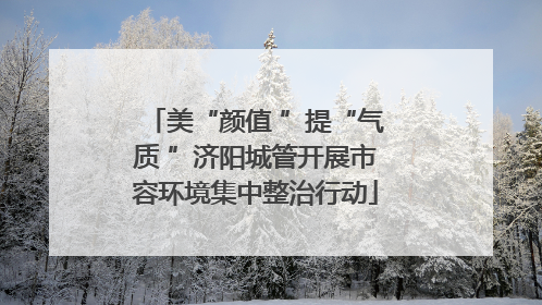 美“颜值 ”提“气质 ”济阳城管开展市容环境集中整治行动