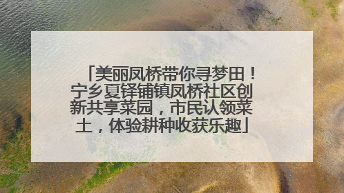 美丽凤桥带你寻梦田！宁乡夏铎铺镇凤桥社区创新共享菜园，市民认领菜土，体验耕种收获乐趣