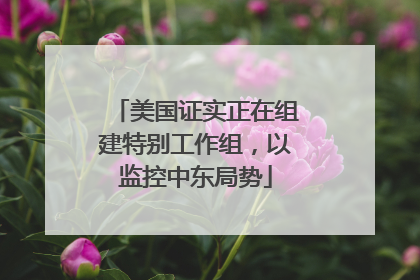 美国证实正在组建特别工作组，以监控中东局势