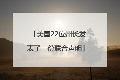 美国22位州长发表了一份联合声明