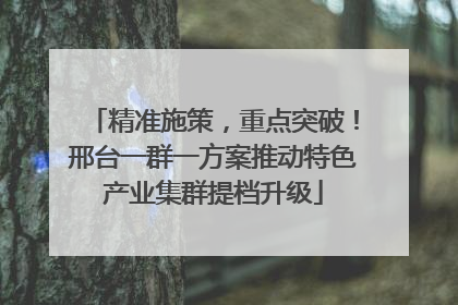 精准施策，重点突破！邢台一群一方案推动特色产业集群提档升级