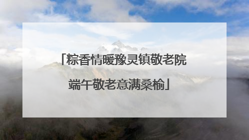粽香情暖豫灵镇敬老院 端午敬老意满桑榆