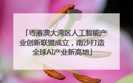 粤港澳大湾区人工智能产业创新联盟成立，南沙打造全球AI产业新高地