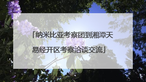 纳米比亚考察团到湘潭天易经开区考察洽谈交流