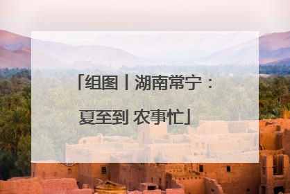 组图丨湖南常宁：夏至到 农事忙
