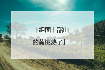 组图丨韶山的黄桃熟了