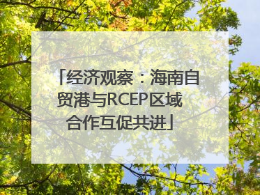 经济观察：海南自贸港与RCEP区域合作互促共进