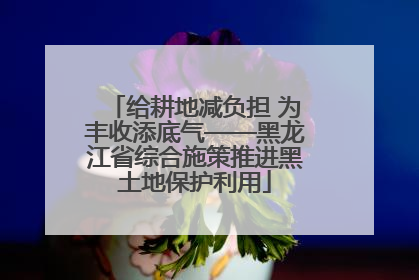 给耕地减负担 为丰收添底气——黑龙江省综合施策推进黑土地保护利用