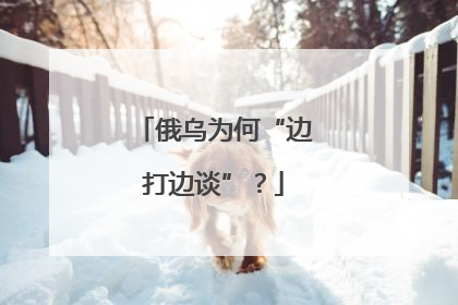 俄乌为何“边打边谈”？