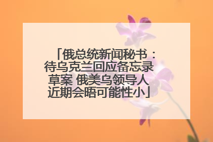 俄总统新闻秘书：待乌克兰回应备忘录草案 俄美乌领导人近期会晤可能性小