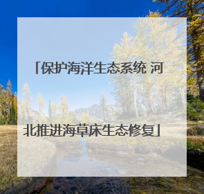 保护海洋生态系统 河北推进海草床生态修复