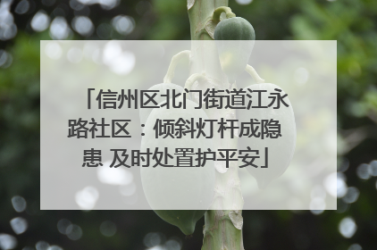 信州区北门街道江永路社区：倾斜灯杆成隐患 及时处置护平安