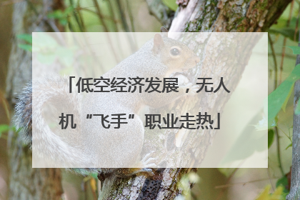 低空经济发展，无人机“飞手”职业走热