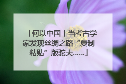 何以中国丨当考古学家发现丝绸之路“复制粘贴”版驼夫……