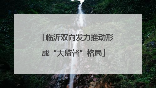 临沂双向发力推动形成“大监督”格局