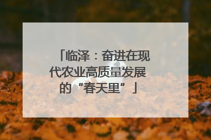 临泽：奋进在现代农业高质量发展的“春天里”