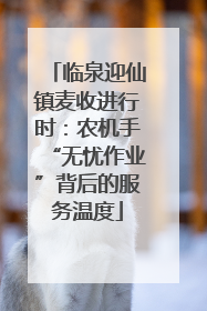 临泉迎仙镇麦收进行时：农机手“无忧作业”背后的服务温度