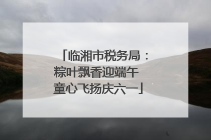 临湘市税务局：粽叶飘香迎端午 童心飞扬庆六一