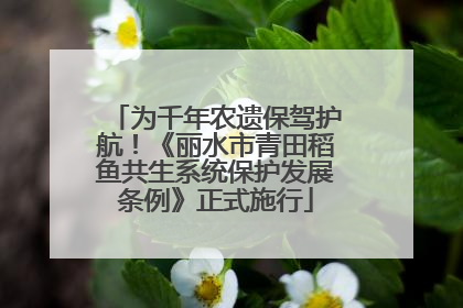 为千年农遗保驾护航！《丽水市青田稻鱼共生系统保护发展条例》正式施行
