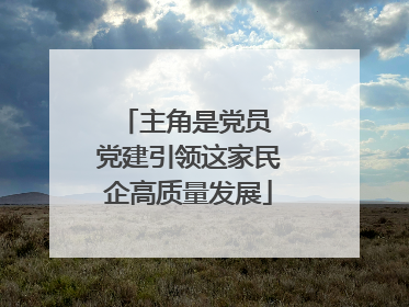 主角是党员 党建引领这家民企高质量发展