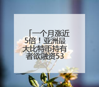 一个月涨近5倍！亚洲最大比特币持有者欲融资53亿美元 豪言要囤积21万枚比特币