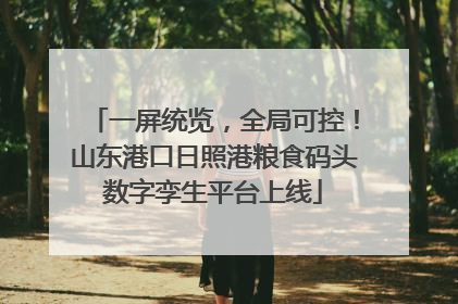 一屏统览，全局可控！山东港口日照港粮食码头数字孪生平台上线