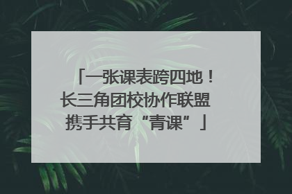 一张课表跨四地！长三角团校协作联盟携手共育“青课”
