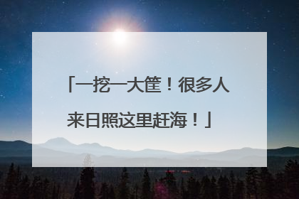 一挖一大筐！很多人来日照这里赶海！