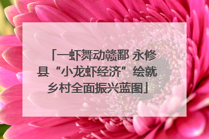 一虾舞动赣鄱 永修县“小龙虾经济”绘就乡村全面振兴蓝图