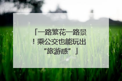 一路繁花一路景！乘公交也能玩出“旅游感”