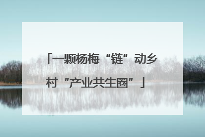 一颗杨梅“链”动乡村“产业共生圈”