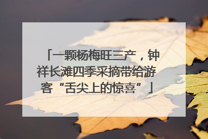 一颗杨梅旺三产，钟祥长滩四季采摘带给游客“舌尖上的惊喜”