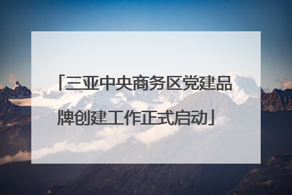 三亚中央商务区党建品牌创建工作正式启动