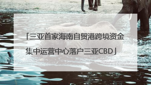三亚首家海南自贸港跨境资金集中运营中心落户三亚CBD
