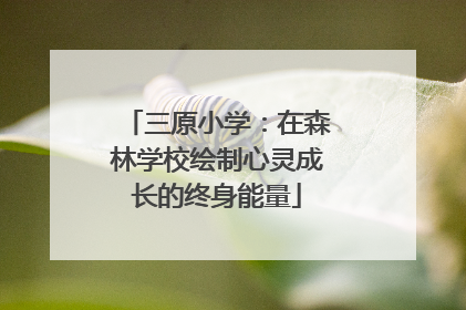 三原小学：在森林学校绘制心灵成长的终身能量