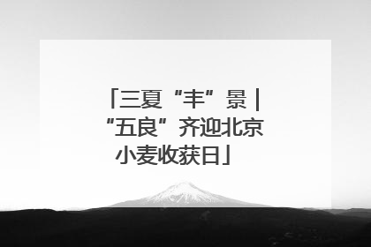 三夏“丰”景｜“五良”齐迎北京小麦收获日