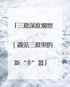 三夏深度观察｜遇见三夏里的新“丰”景