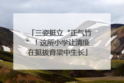 三姿挺立“正气竹”！这所小学让清廉在挺拔脊梁中生长