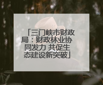 三门峡市财政局：财政林业协同发力 共促生态建设新突破