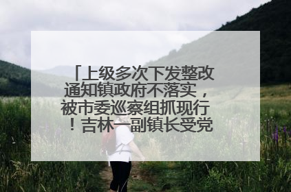 上级多次下发整改通知镇政府不落实，被市委巡察组抓现行！吉林一副镇长受党内警告处分