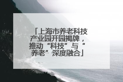 上海市养老科技产业园开园揭牌，推动“科技”与“养老”深度融合