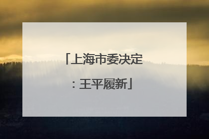 上海市委决定：王平履新