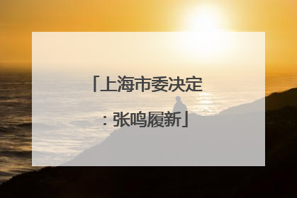 上海市委决定：张鸣履新